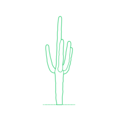 Plants Cactus Svg Line Art, Free Vectors File